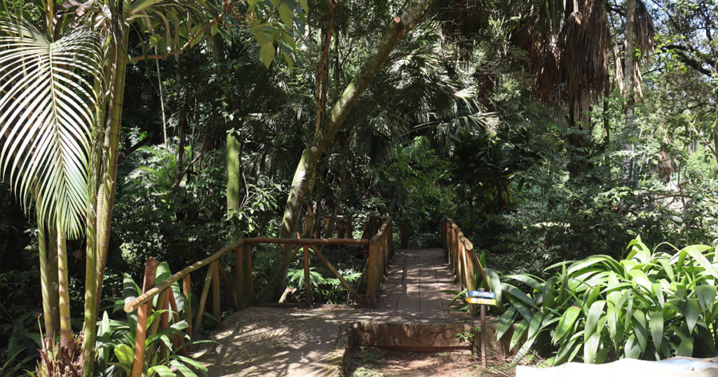 2432erwwerrewrewe 1024x538