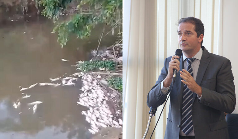 Raul Marcelo cobra explicações sobre morte de peixes na região do Vitória Régia