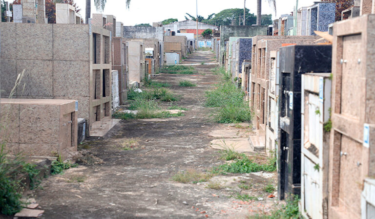 ​Cemitérios públicos de Sorocaba estão em situação de abandono; Raul Marcelo exige solução da Prefeitura