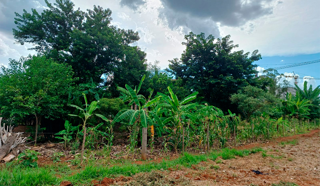 Raul Marcelo propõe à Prefeitura de Sorocaba a construção de um parque público na Vila Rica