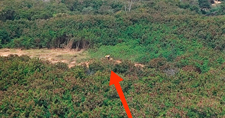 Raul Marcelo denuncia descumprimento de decisão judicial em obras da marginal direita do Rio Sorocaba