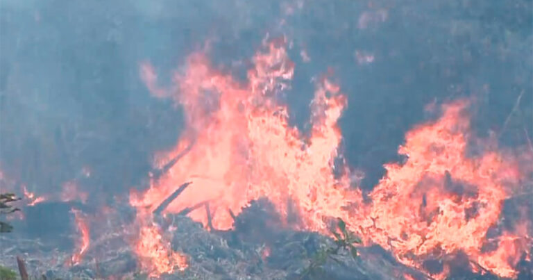 Raul Marcelo cobra ações de prevenção e combate a incêndios e queimadas em Sorocaba